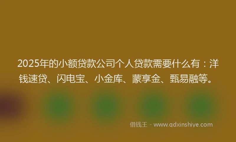 2025年的小额贷款公司个人贷款需要什么有：洋钱速贷、闪电宝、小金库、蒙享金、甄易融等。