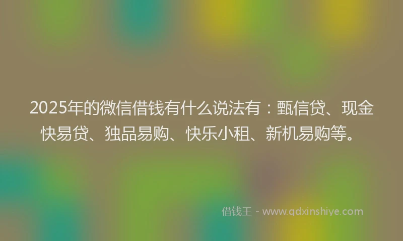 2025年的微信借钱有什么说法有：甄信贷、现金快易贷、独品易购、快乐小租、新机易购等。
