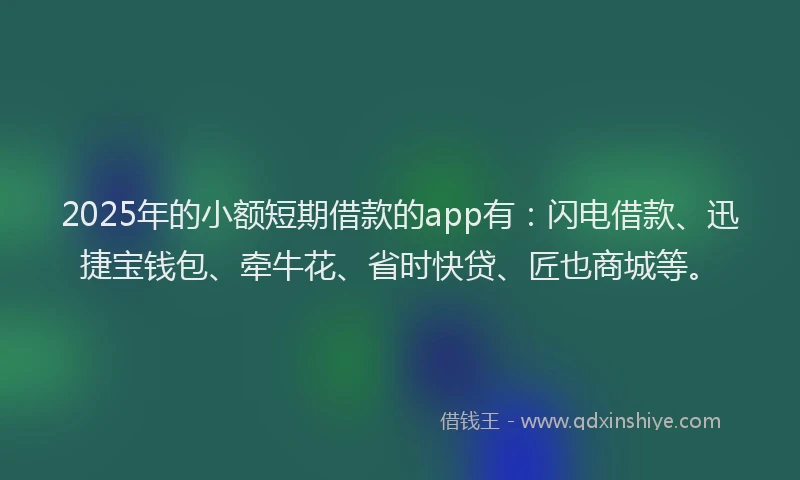 2025年的小额短期借款的app有：闪电借款、迅捷宝钱包、牵牛花、省时快贷、匠也商城等。