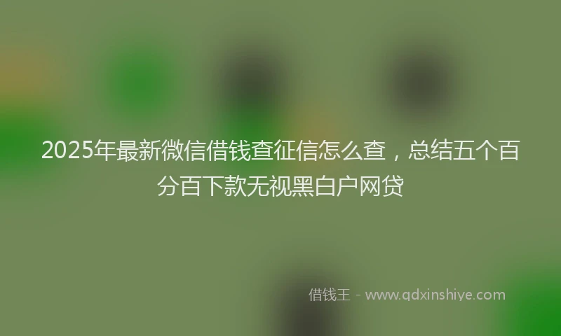 2025年最新微信借钱查征信怎么查，总结五个百分百下款无视黑白户网贷