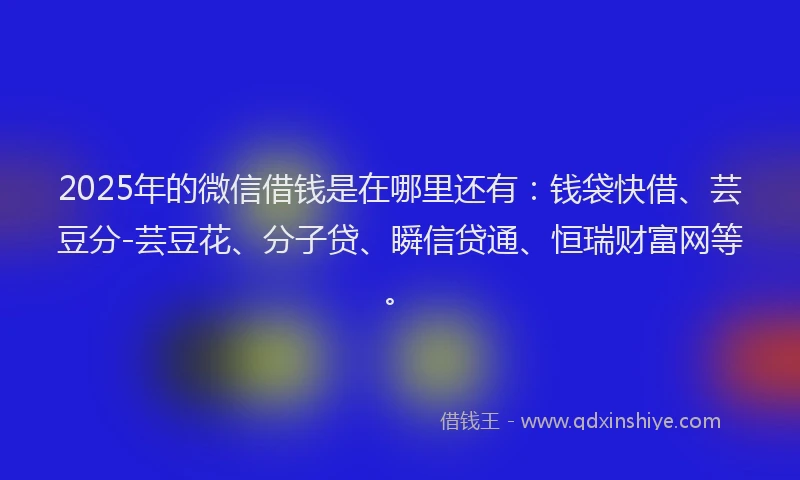2025年的微信借钱是在哪里还有：钱袋快借、芸豆分-芸豆花、分子贷、瞬信贷通、恒瑞财富网等。
