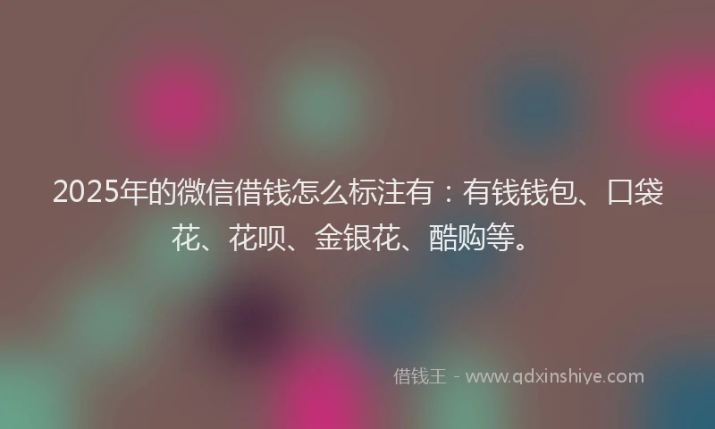 2025年的微信借钱怎么标注有：有钱钱包、口袋花、花呗、金银花、酷购等。
