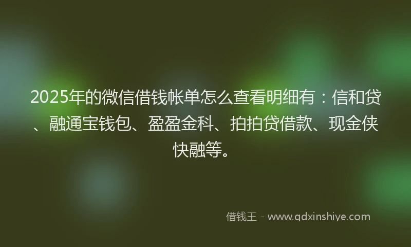 2025年的微信借钱帐单怎么查看明细有：信和贷、融通宝钱包、盈盈金科、拍拍贷借款、现金侠快融等。