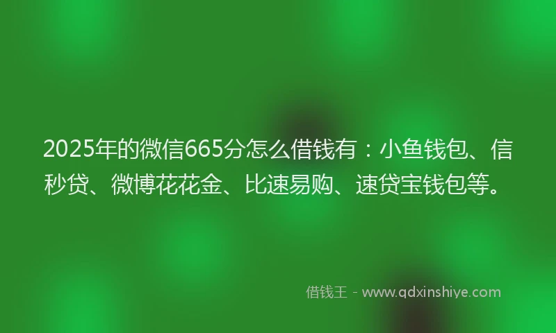2025年的微信665分怎么借钱有：小鱼钱包、信秒贷、微博花花金、比速易购、速贷宝钱包等。