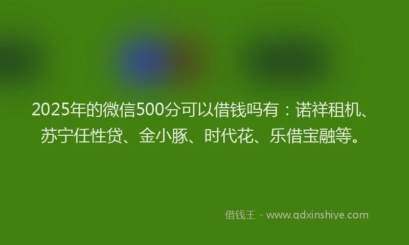 2025年的微信500分可以借钱吗有：诺祥租机、苏宁任性贷、金小豚、时代花、乐借宝融等。
