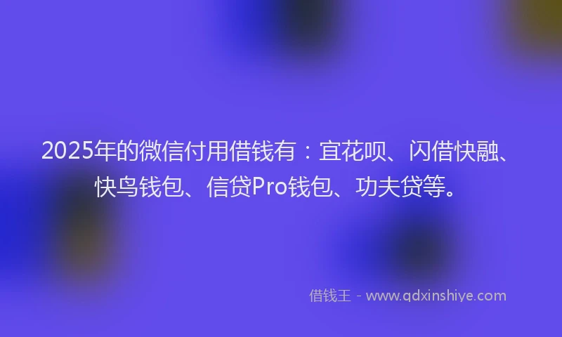 2025年的微信付用借钱有：宜花呗、闪借快融、快鸟钱包、信贷Pro钱包、功夫贷等。