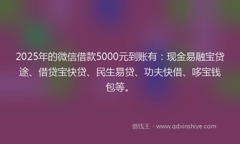 2025年的微信借款5000元到账有：现金易融宝贷途、借贷宝快贷、民生易贷、功夫快借、哆宝钱包等。