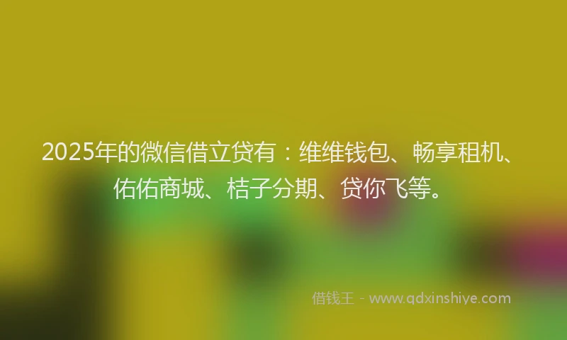 2025年的微信借立贷有：维维钱包、畅享租机、佑佑商城、桔子分期、贷你飞等。