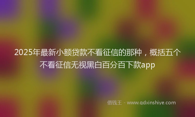 2025年最新小额贷款不看征信的那种，概括五个不看征信无视黑白百分百下款app