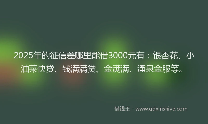 2025年的征信差哪里能借3000元有：银杏花、小油菜快贷、钱满满贷、金满满、涌泉金服等。