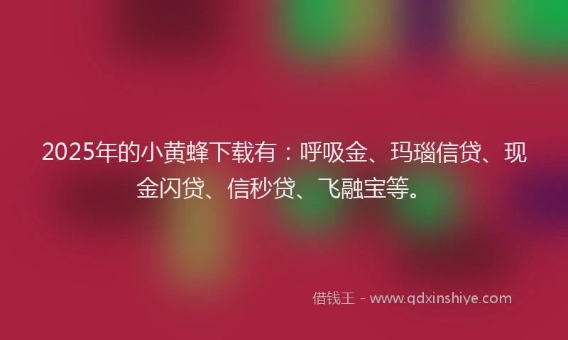 2025年的小黄蜂下载有：呼吸金、玛瑙信贷、现金闪贷、信秒贷、飞融宝等。