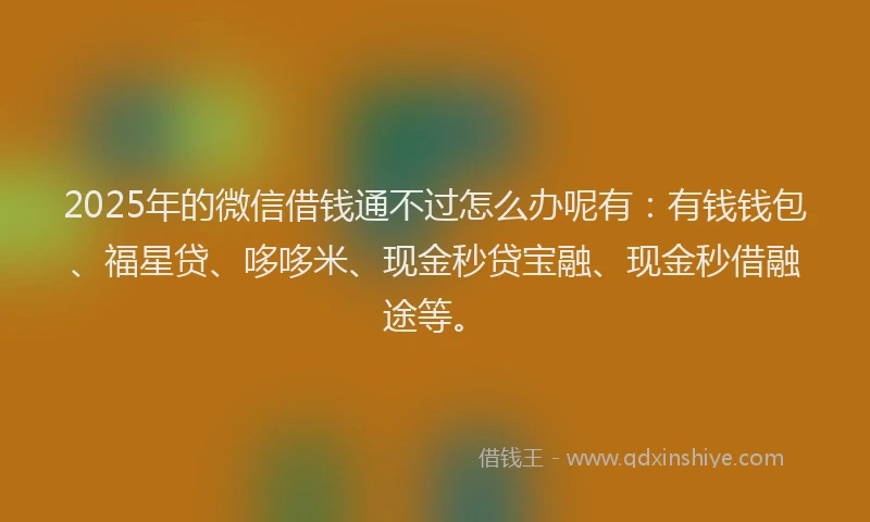 2025年的微信借钱通不过怎么办呢有：有钱钱包、福星贷、哆哆米、现金秒贷宝融、现金秒借融途等。