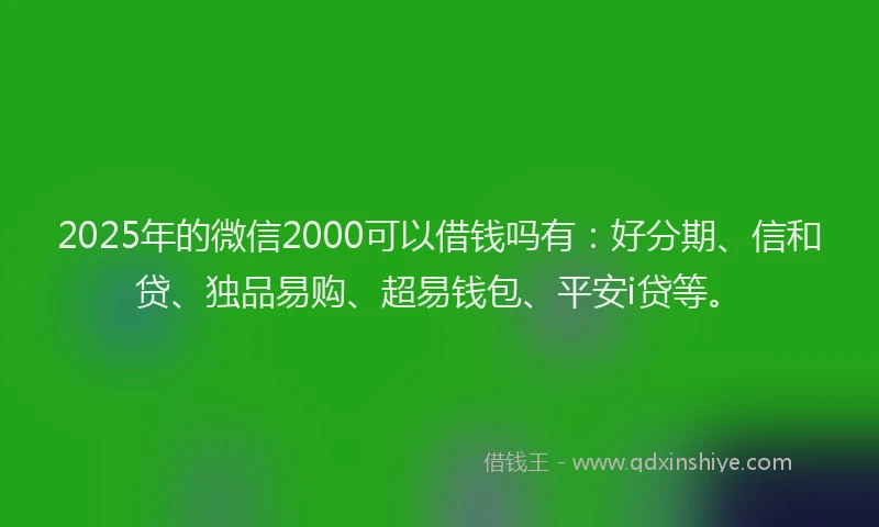 2025年的微信2000可以借钱吗有：好分期、信和贷、独品易购、超易钱包、平安i贷等。