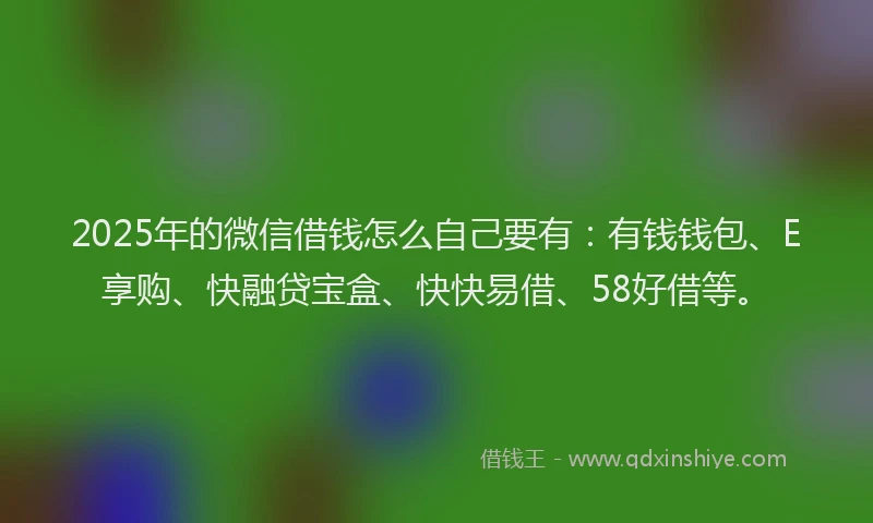 2025年的微信借钱怎么自己要有：有钱钱包、E享购、快融贷宝盒、快快易借、58好借等。