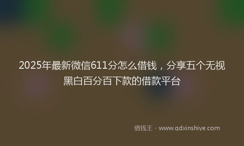 2025年最新微信611分怎么借钱，分享五个无视黑白百分百下款的借款平台