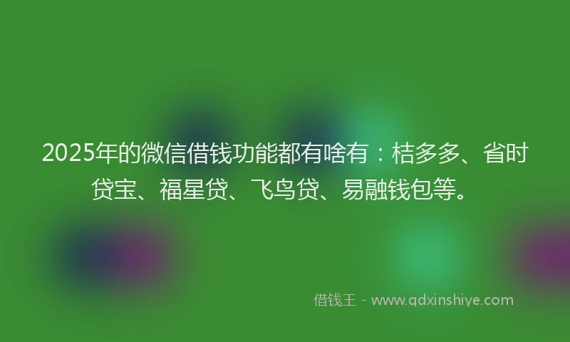 2025年的微信借钱功能都有啥有：桔多多、省时贷宝、福星贷、飞鸟贷、易融钱包等。