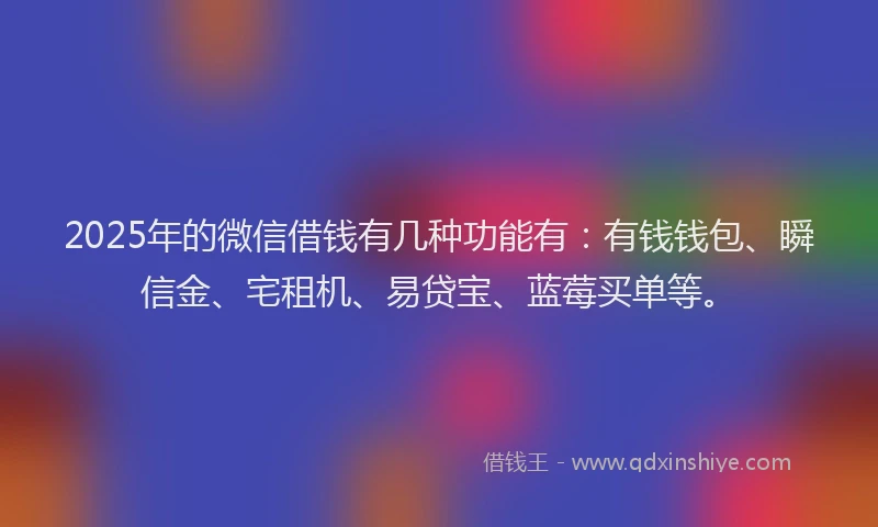 2025年的微信借钱有几种功能有：有钱钱包、瞬信金、宅租机、易贷宝、蓝莓买单等。