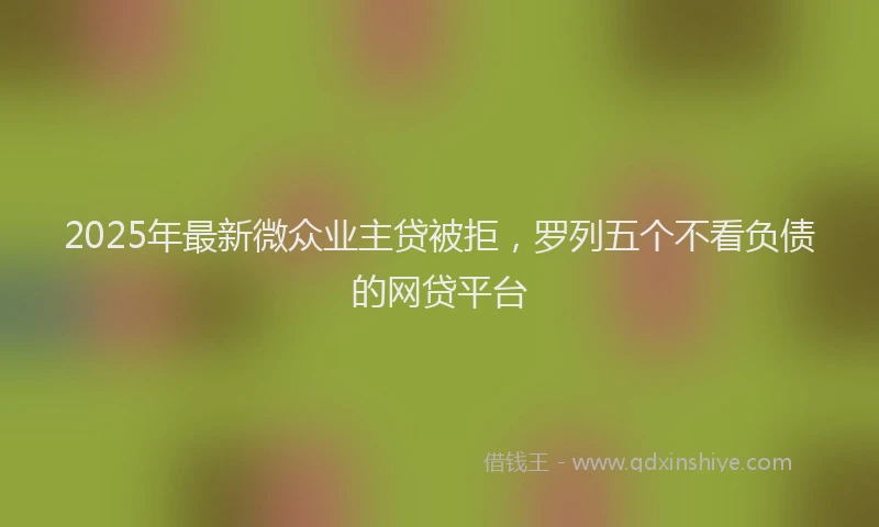 2025年最新微众业主贷被拒，罗列五个不看负债的网贷平台
