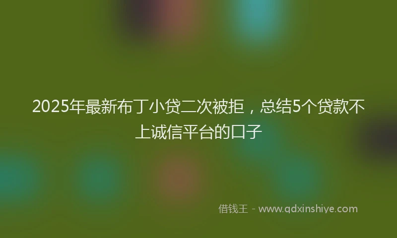 2025年最新布丁小贷二次被拒，总结5个贷款不上诚信平台的口子