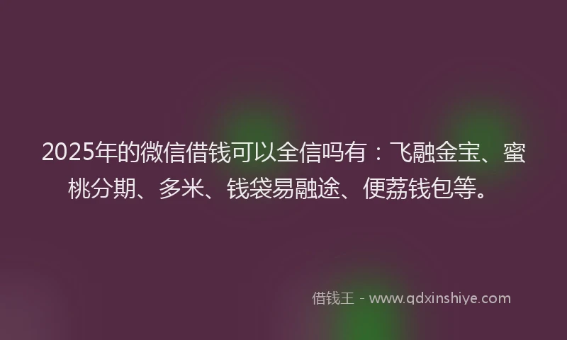 2025年的微信借钱可以全信吗有：飞融金宝、蜜桃分期、多米、钱袋易融途、便荔钱包等。