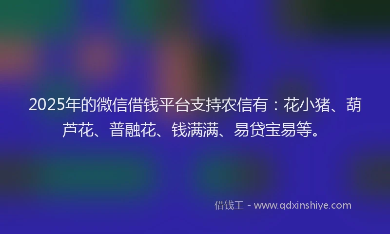 2025年的微信借钱平台支持农信有：花小猪、葫芦花、普融花、钱满满、易贷宝易等。