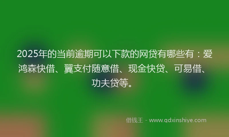 2025年的当前逾期可以下款的网贷有哪些有：爱鸿森快借、翼支付随意借、现金快贷、可易借、功夫贷等。