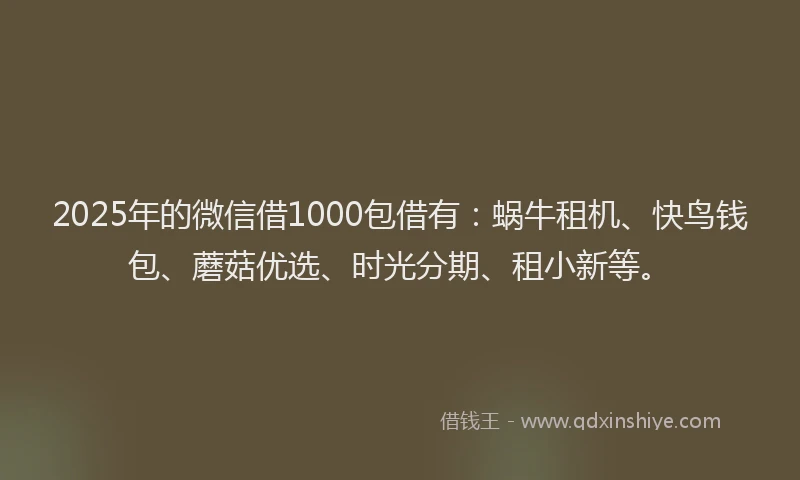 2025年的微信借1000包借有：蜗牛租机、快鸟钱包、蘑菇优选、时光分期、租小新等。
