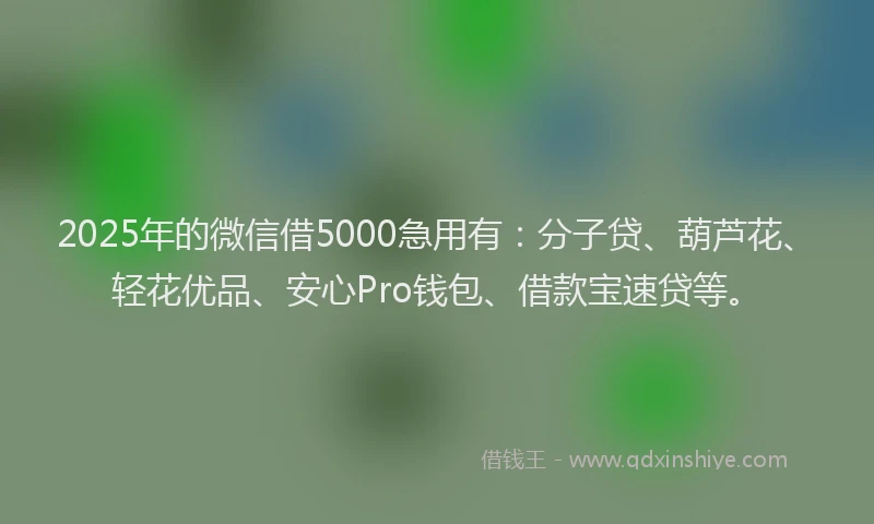 2025年的微信借5000急用有：分子贷、葫芦花、轻花优品、安心Pro钱包、借款宝速贷等。