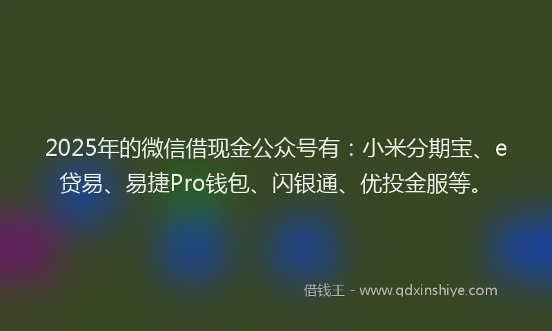 2025年的微信借现金公众号有：小米分期宝、e贷易、易捷Pro钱包、闪银通、优投金服等。