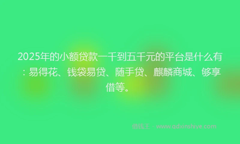 2025年的小额贷款一千到五千元的平台是什么有：易得花、钱袋易贷、随手贷、麒麟商城、够享借等。