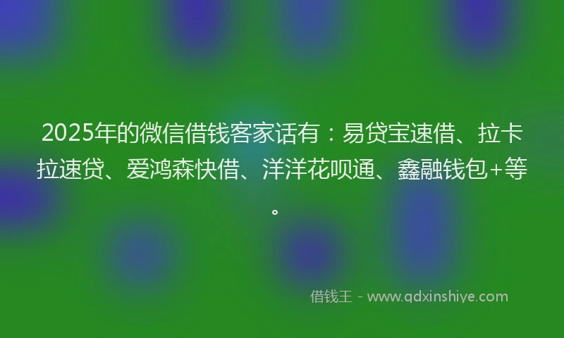 2025年的微信借钱客家话有：易贷宝速借、拉卡拉速贷、爱鸿森快借、洋洋花呗通、鑫融钱包+等。