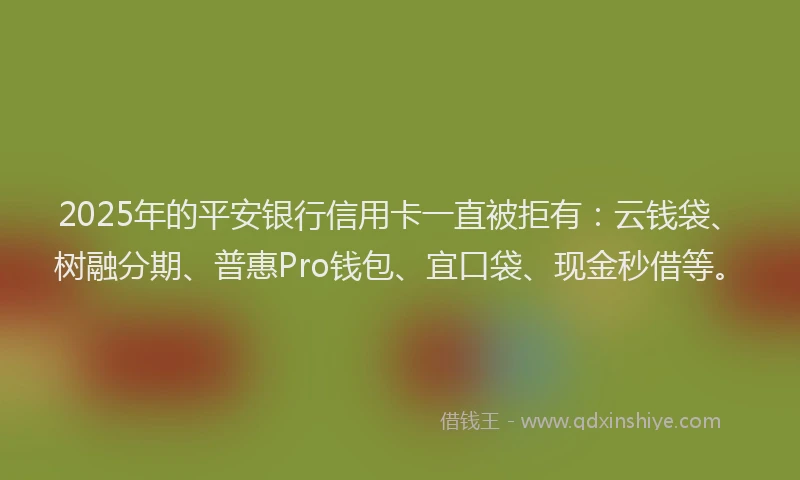 2025年的平安银行信用卡一直被拒有：云钱袋、树融分期、普惠Pro钱包、宜口袋、现金秒借等。