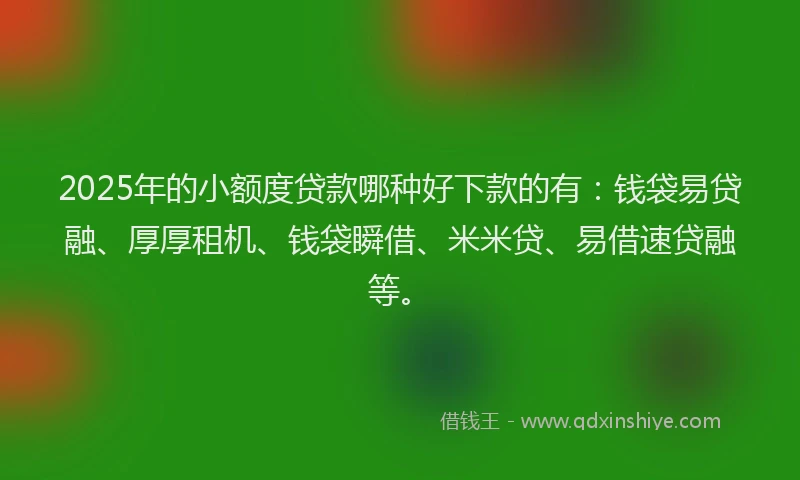 2025年的小额度贷款哪种好下款的有：钱袋易贷融、厚厚租机、钱袋瞬借、米米贷、易借速贷融等。