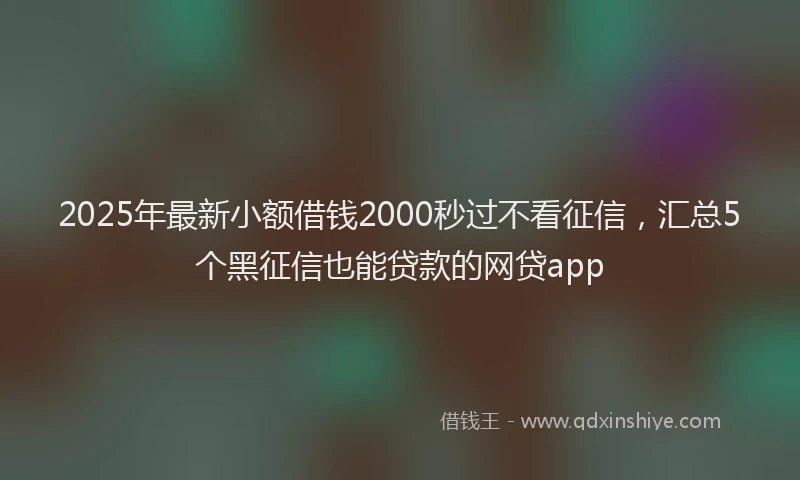 2025年最新小额借钱2000秒过不看征信，汇总5个黑征信也能贷款的网贷app