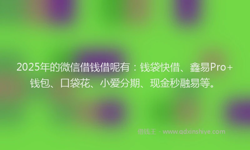 2025年的微信借钱借呢有：钱袋快借、鑫易Pro+钱包、口袋花、小爱分期、现金秒融易等。