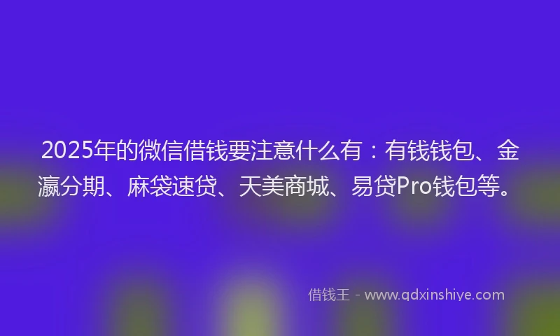 2025年的微信借钱要注意什么有：有钱钱包、金瀛分期、麻袋速贷、天美商城、易贷Pro钱包等。