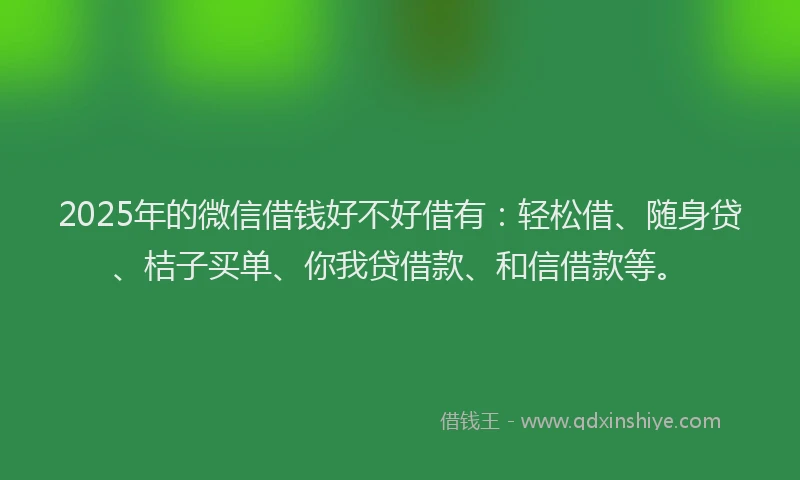 2025年的微信借钱好不好借有：轻松借、随身贷、桔子买单、你我贷借款、和信借款等。