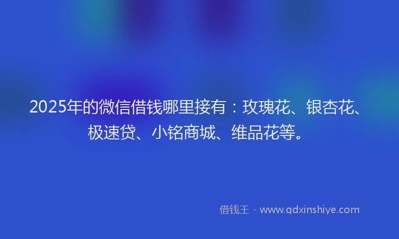 2025年的微信借钱哪里接有：玫瑰花、银杏花、极速贷、小铭商城、维品花等。