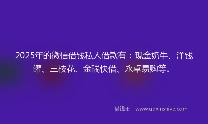2025年的微信借钱私人借款有：现金奶牛、洋钱罐、三枝花、金瑞快借、永卓易购等。