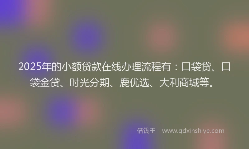 2025年的小额贷款在线办理流程有：口袋贷、口袋金贷、时光分期、鹿优选、大利商城等。
