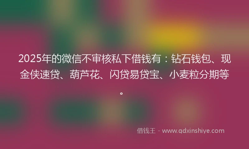 2025年的微信不审核私下借钱有：钻石钱包、现金侠速贷、葫芦花、闪贷易贷宝、小麦粒分期等。