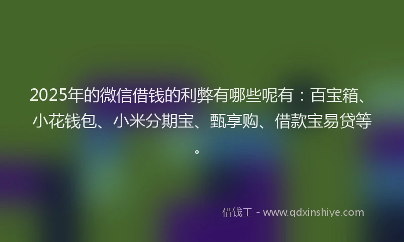2025年的微信借钱的利弊有哪些呢有：百宝箱、小花钱包、小米分期宝、甄享购、借款宝易贷等。