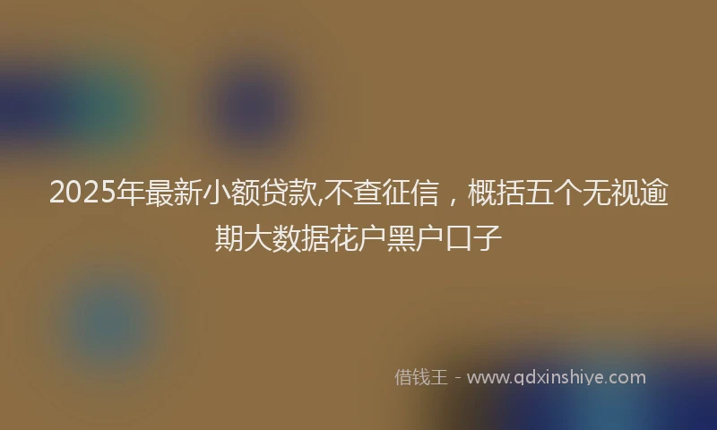 2025年最新小额贷款,不查征信，概括五个无视逾期大数据花户黑户口子