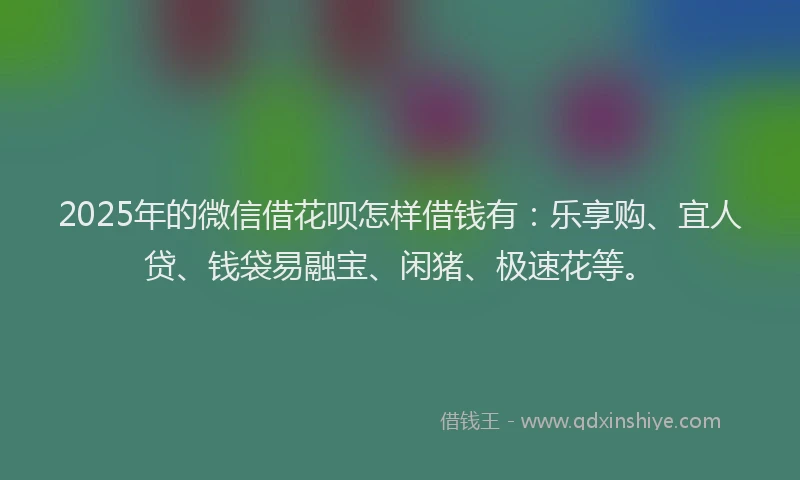 2025年的微信借花呗怎样借钱有：乐享购、宜人贷、钱袋易融宝、闲猪、极速花等。