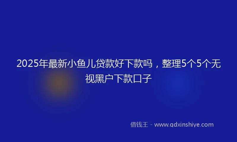 2025年最新小鱼儿贷款好下款吗，整理5个5个无视黑户下款口子