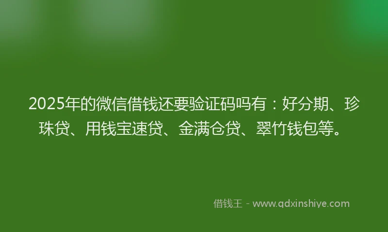 2025年的微信借钱还要验证码吗有：好分期、珍珠贷、用钱宝速贷、金满仓贷、翠竹钱包等。