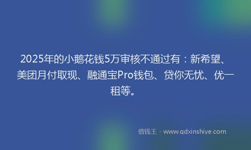 2025年的小鹅花钱5万审核不通过有：新希望、美团月付取现、融通宝Pro钱包、贷你无忧、优一租等。
