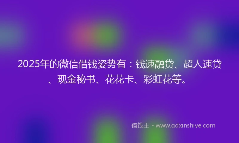 2025年的微信借钱姿势有：钱速融贷、超人速贷、现金秘书、花花卡、彩虹花等。