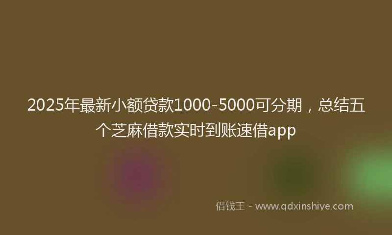2025年最新小额贷款1000-5000可分期，总结五个芝麻借款实时到账速借app