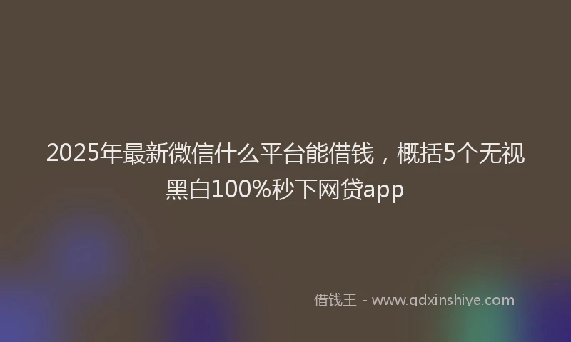 2025年最新微信什么平台能借钱，概括5个无视黑白100%秒下网贷app